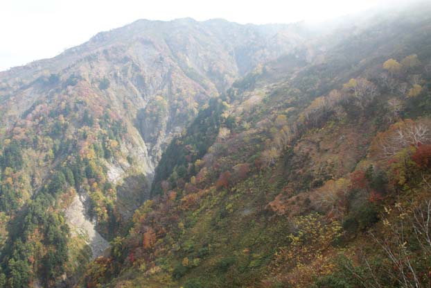 雨飾山、金山周回レポート_a0115745_1616123.jpg