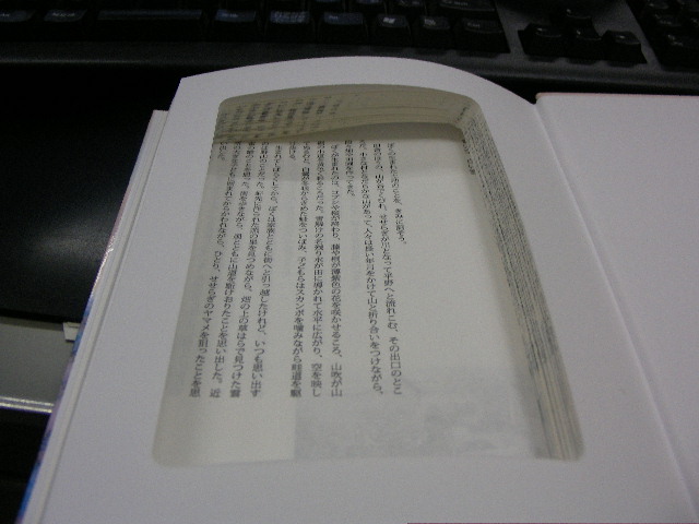 くりぬき本_d0095746_181514100.jpg