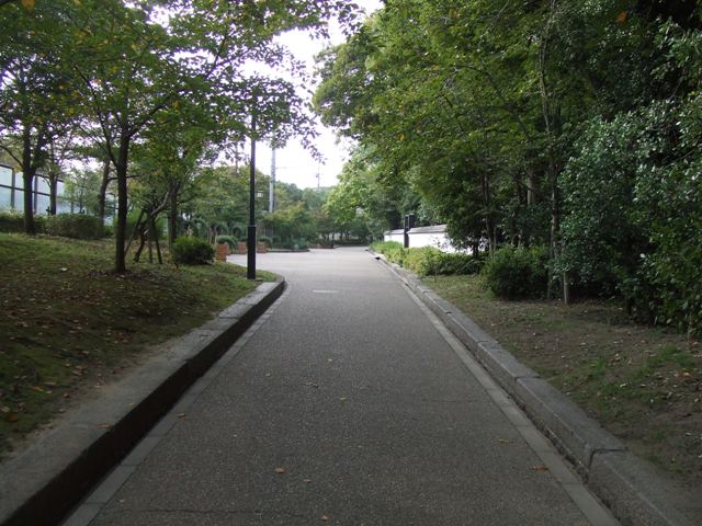 e0046748_165221100.jpg
