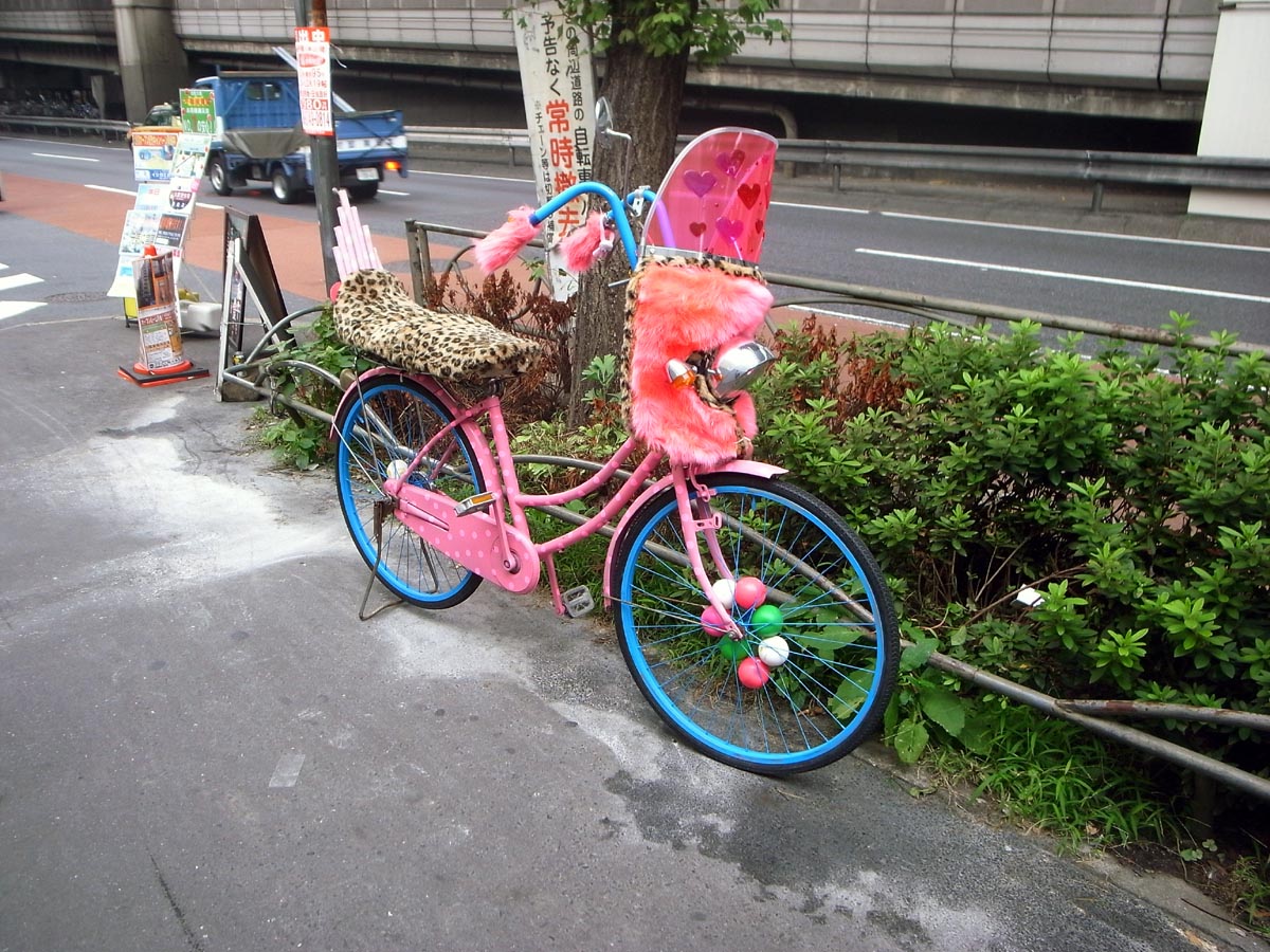 自転車とアニマル浜口_a0152253_1382762.jpg