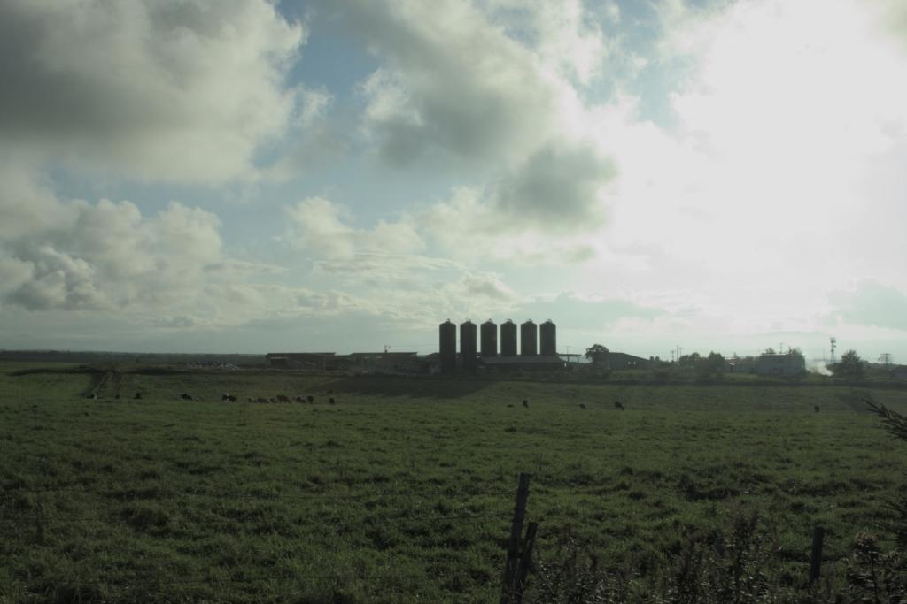 e0206057_2233768.jpg