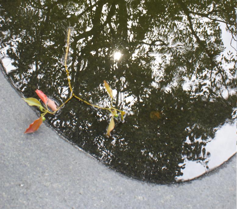 「虹の足」と「虹の石」_b0063958_2231451.jpg