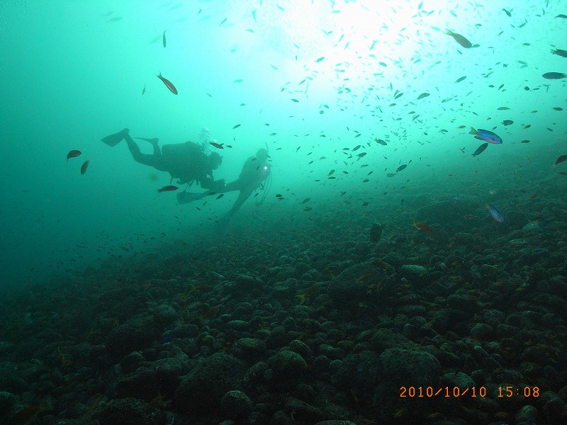 b0075059_23442740.jpg