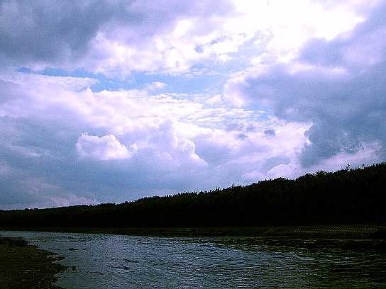 f0084561_15551331.jpg