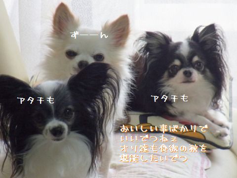 e0059267_12501413.jpg