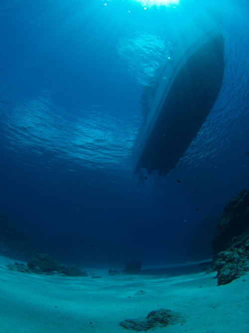 b0138768_9443678.jpg
