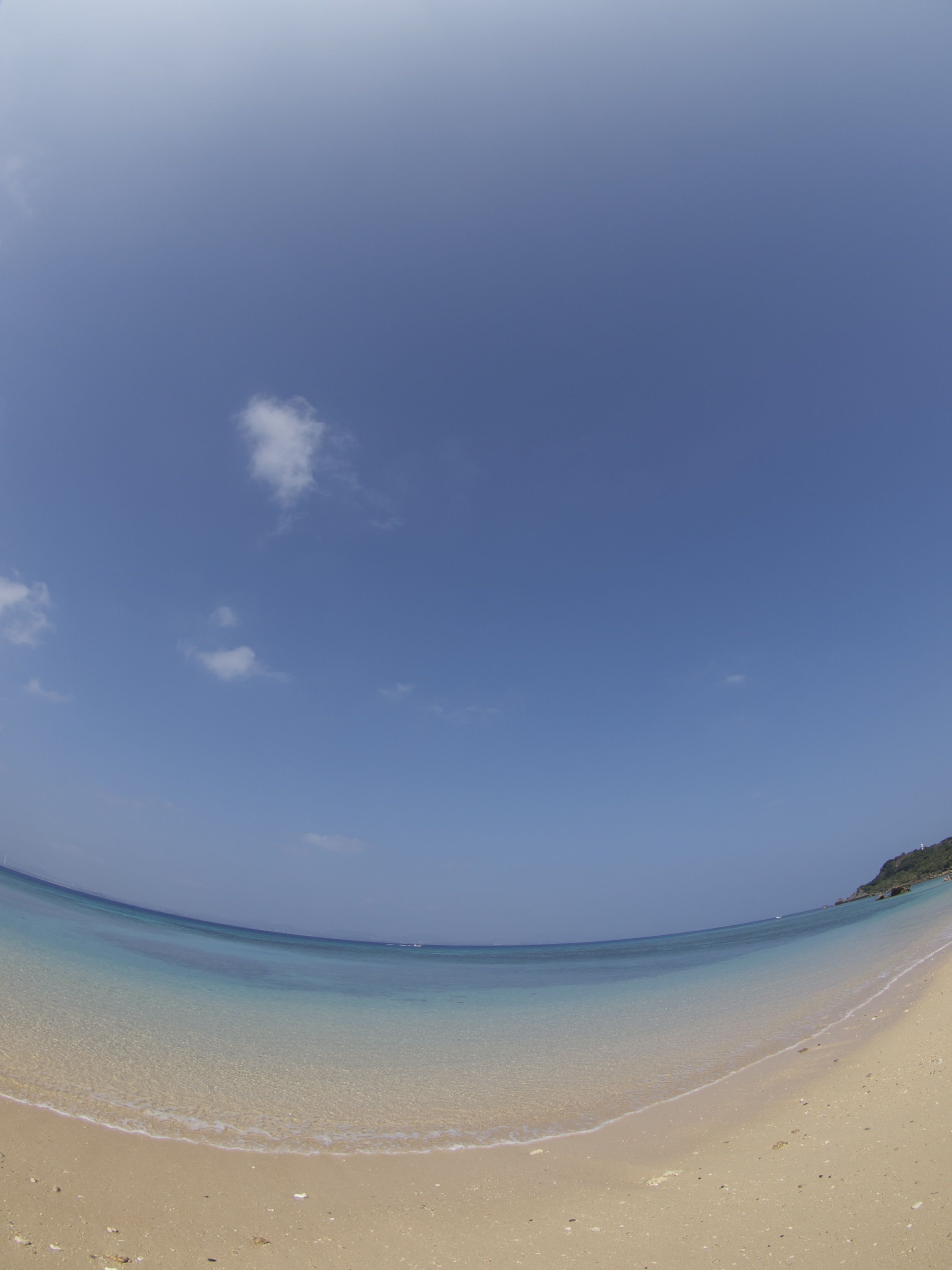 b0138768_94482.jpg