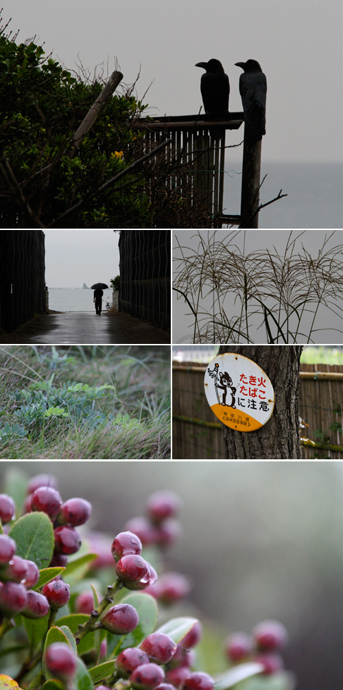 雨が降っても波があれば........。_a0157069_845439.jpg