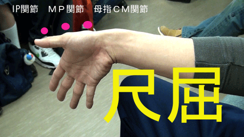 第1501話・・・・尺屈(しゃくつ)の力_c0000970_1065757.gif