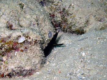 e0096370_17243420.jpg
