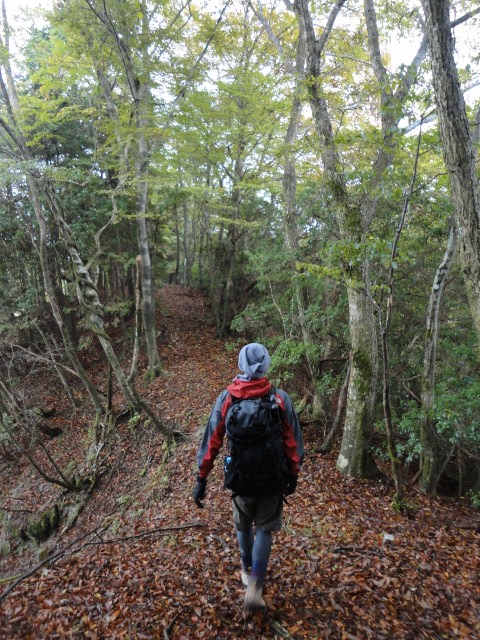 2010年10月21日　寄～雨山峠～鍋割山　日帰りハイキング　2名_f0238475_22161470.jpg