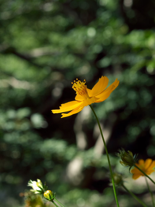a0096177_2255779.jpg
