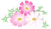 旧居留地を歩く♪_a0143686_1742152.gif