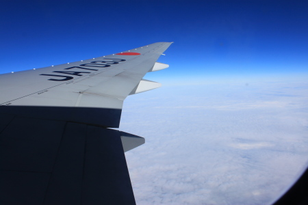 d0129786_1744525.jpg