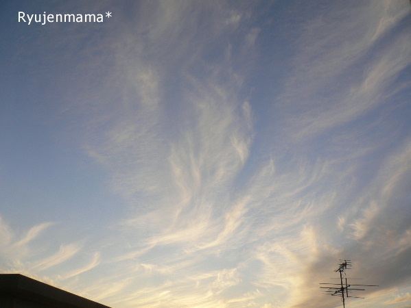 b0169987_21375173.jpg