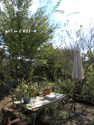 c0169287_220099.jpg