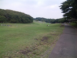 e0150989_19492896.jpg