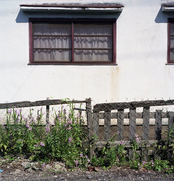 c0214494_21591174.jpg