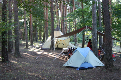 b0191595_8065.jpg