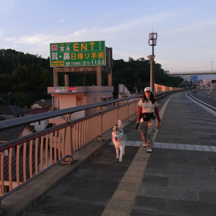 c0049299_19541244.jpg