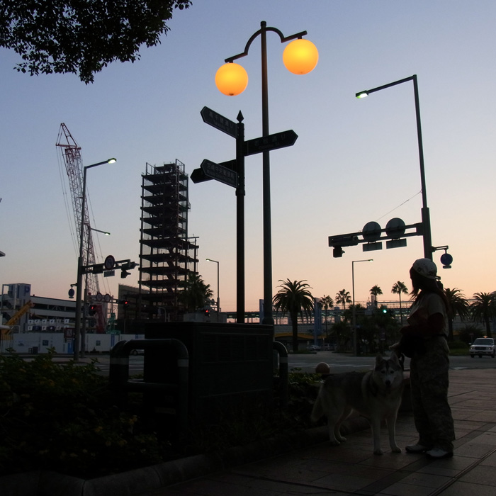 c0049299_19585294.jpg