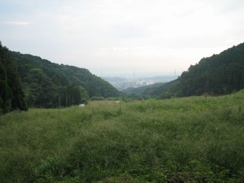 f0036700_1539255.jpg