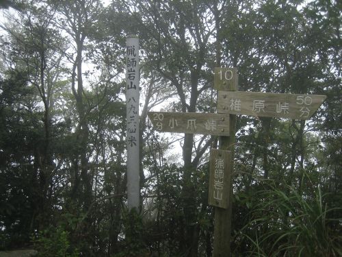 f0036700_15423744.jpg