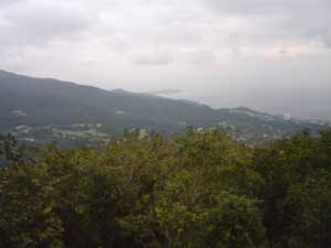 a0071805_19194961.jpg