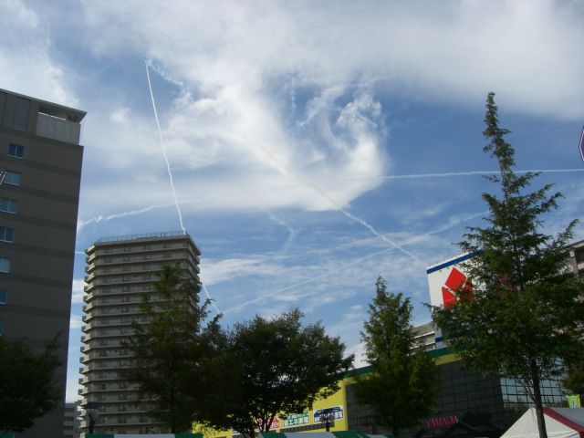 f0169012_0233243.jpg