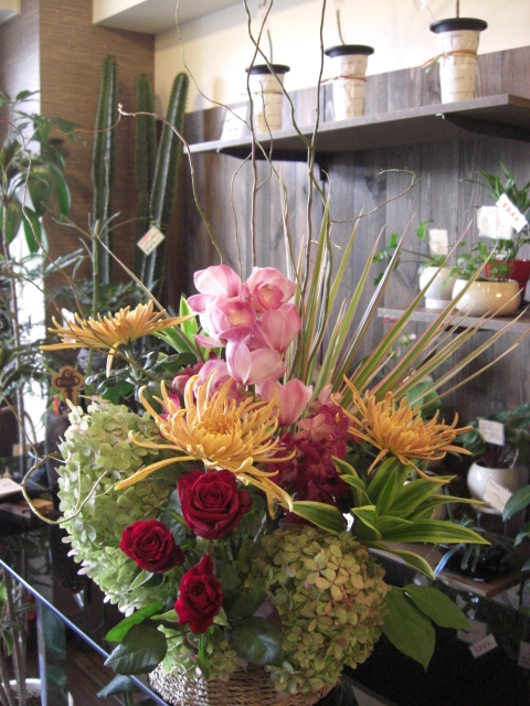 f0226713_1705081.jpg