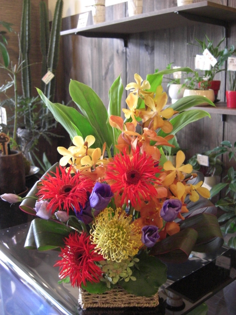 f0226713_171125.jpg