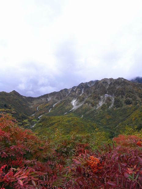 同期の桜旅行　その②_c0039114_2131886.jpg