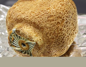 c0166720_222561.jpg