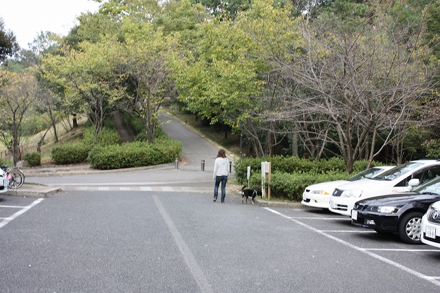 公園へ行こうシリーズ33 明徳公園編 マヌカ物語 公園へ行こうシリーズ33 明徳公園編 マヌカ物語