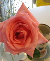f0157327_0335152.jpg
