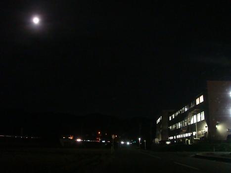 a0014840_2311044.jpg