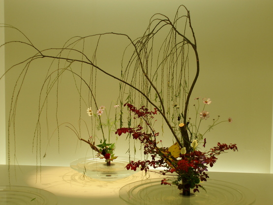 池坊展 自由花 つばきの納戸
