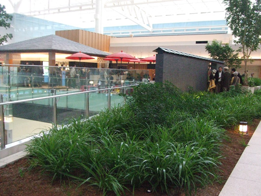 f0219141_9102579.jpg