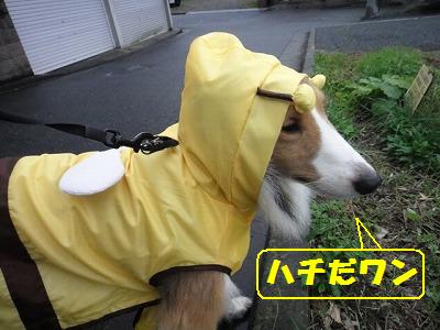 お風呂だぁいすき~♪_e0195743_16335100.jpg
