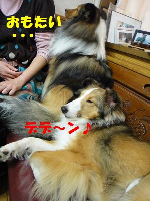 ポッちんに会いに_e0195743_985399.jpg