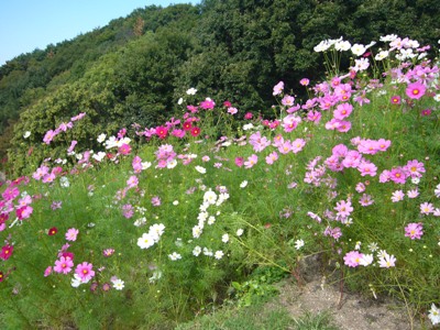 e0100046_22539.jpg
