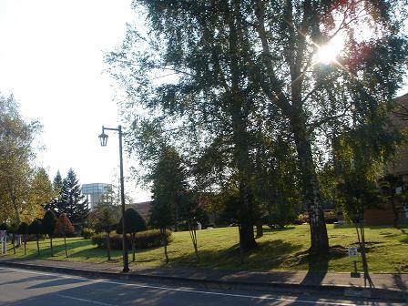 e0181047_06769.jpg
