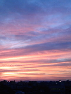 c0214149_1335457.jpg
