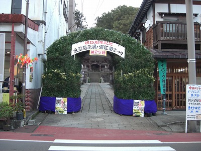 菊祭り_a0084753_1731074.jpg