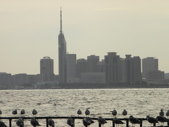 f0201157_9422772.jpg
