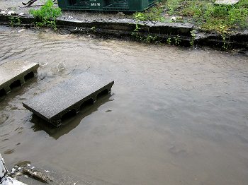 石垣島に大雨警報！_e0096370_16575232.jpg