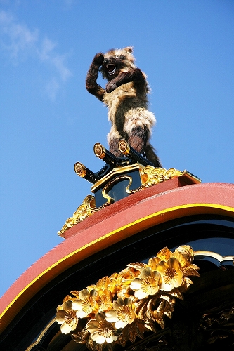 大津祭　２０１０年　西行桜狸山_c0196076_628436.jpg