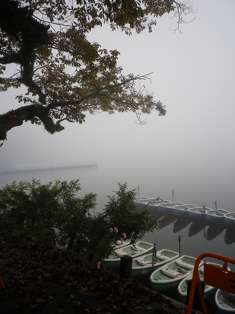 c0212083_17524932.jpg