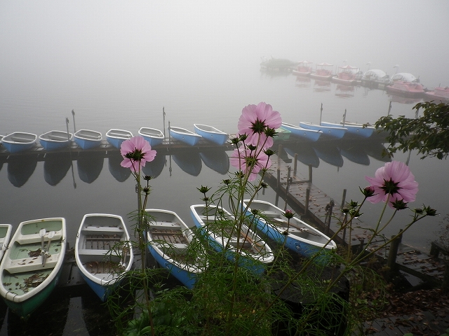c0212083_175326100.jpg