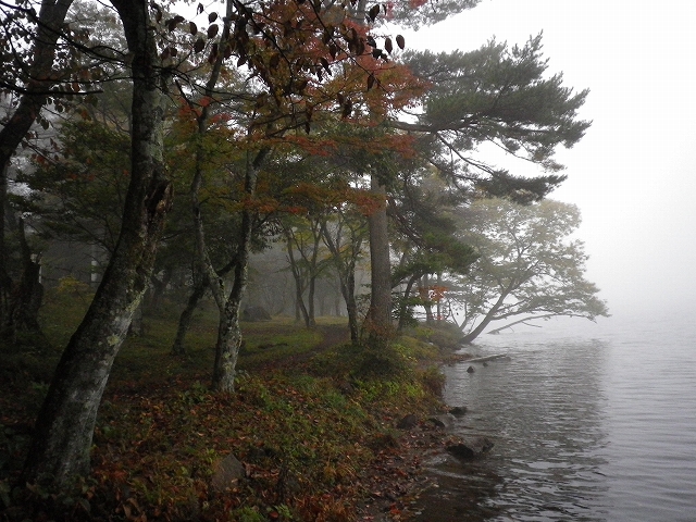 c0212083_17543980.jpg